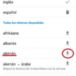 idiomas disponibles para descargar