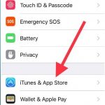 iTunes y Apps Store